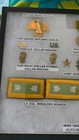 Wwii Waac Womens Army Auxiliary Corps Insignia Medal Grouping 12x16 Riker Case