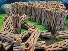 100 Pieces 3  Cholla Wood Cactus   Organic  Raw   Fish  Shrimp Aquarium   Craft