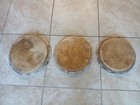 Manito Conga Heads
