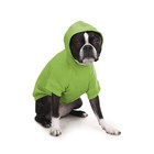 Zack And Zoey Basic Hoodie For Dogs 24in X Large Parrot Green