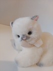 Vtg Russ Yomiko Kitten Plush Cat Stuffed Animal 9  Green Eyes Pink Bow Rare