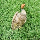 Vintage Gemstone Bird Carving 3 25  Pelican Sculpture Crystal