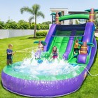 Commercial Pvc Inflatable Bounce House Water Slide Purple With Blower For Kids