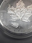 2016 Canada Silver Maple Leaf 1oz  - Reverse Proof Grizzly Bear Privy  9999 Fine