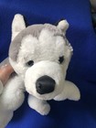 Fao Schwarz Husky Plush Stuffed Animal Grey White Dog 17    Toy Floppy Lovey