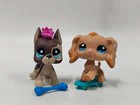 5pcs lot Littlest Pet Shop Toy Lps Cat Dog  817 1716 733 518 W 6pcs Accessories