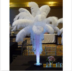 New Wholesale 100 200pcs Natural Ostrich Feathers 12-14inch 30-35cm White