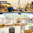 Vamoose Natural Rodent Repellent - 10 Pack Peppermint Oil - Mice   Rat Deterrent