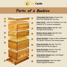 Beecastle 10-frame Langstroth Beeswax Coated Beehive With Windows  4 Boxes 