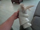 Eddie Lee Sculpture Eskimo Raven 16lb Soapstone Carving Corrington s Certificate