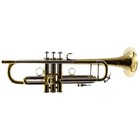 Bach Model 19072vu Stradivarius Vindabona Professional Bb Trumpet Mint Condition