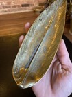 Vintage Virginia Metalcrafters Brass Butterfly Bush Dish 10 1 4    Tray 3-24  1948
