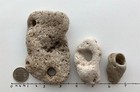 3 Holey Beach Rocks Hag Stones Adder Heart Aquarium Natural Large 1 2    Hole  5a