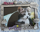 Meow Pretty Kitty Pewter Look Picture Frame 6 x4  By Designstyles Cat Frame