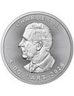 2026 Canada Naughty Arrest 1 Oz 9999 Silver Coin Presale
