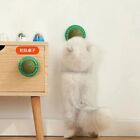 Promote Digestion Natural Catnip Cat Wall Stick-on Ball Natural Removes Hair