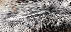 100  New Cowhide Rugs Area Cow Skin Leather  48  X 43   Cow Hide Sa-1195
