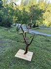 Manzanita Bird Perch 5ft Tall