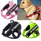 Service Dog Harness No-pull Reflective   2 Patches Emotional Support Pet Vest