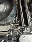 Cpu   Motherboard Combo - Amd Ryzen    5 8500g   Asus Prime B650-plus Wifi
