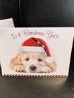 Dog In Santa Hat Christmas Greeting Card  5x6 75    Unused Is It Christmas Yet 