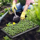 Rootrimmer 10 Pack 200 Cell Seed Starter Trays- Thick Durable Plastic Nursery Fl