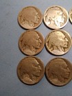     Rare Lot   12   1915-s Buffalo Nickels Acid Dates Key Dates