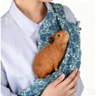Small Pet Sling Carrier Travel Bag Reptile Hamster Guinea Pig Blue White