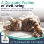 Secure Cat Calming Diffuser For Supporting Calm And Well-being To Help Reliev   