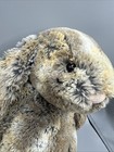Jellycat Bashful Woodland Bunny Plush Stuffed Animal 12    Sitting Super Soft 
