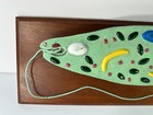 Full-scale Cell Model Mounted Protists Planarian Cell 9 x23  Lot Of 2