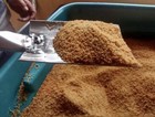 Piloncillo Granulated Piloncillo Fine Grain 50 Lbs Sack 