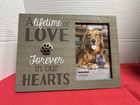 Pet Urn And Frame Reminded Memorial  7    Paw Urn Gray  Silver And Frame Cremation