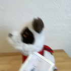 Wells Fargo Jack Plush Stuffed Dog With Red Bandana   Hang Tags 1997