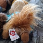 Chippette Ty Beanie Babies Lot Of 3   Jeanette   Brittany   Eleanor