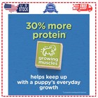 Purina Puppy Chow Tender And Crunchy Dry Dog Food Real Beef And Rice 30 Lb Bag