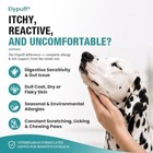 Dog Allergy Chews 130ct - Itch Relief Dog Allergy And Itching Skin Relief Anti I