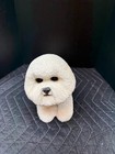 Vintage Off White Sandicast Bichon Frise Reclining  1988 Signed Made In Ca