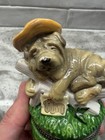 Porcelain Hinged Trinket Box Midwest Cannon Falls Dog Sleeping On Log Shar Pei
