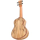 Cordoba 24c Spruce Spalted Maple Concert Ukulele Natural