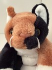 Ty Beanie Buddies Chip The Calico Cat 1998 15    9oz