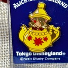 Rare   Tokyo Disney Resort Pin Dormouse Tdl Alice In Wonderland Japan