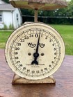 Vintage Way Rite 25lb Mercantile Scale Farmhouse Rustic Antique Old White