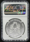 2017-w  1 Silver Eagle Ngc Ms70    026pid 