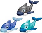 Dive Delfino Con Luce