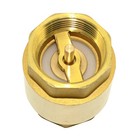 1-1 4  One Way Vertical Check Valve Npt Threaded Spring Loaded Brass Pumb