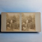 Truro Cornwall Stereoview C1900 Real Photo Named Lady Baptist Manse Garden