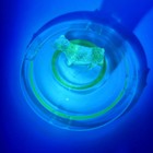 Vintage Green Uranium Glass Ashtray With Little Scottish Dog Glows