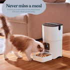 Cat Dog Auto Feeder Pet Food Automatic Feeding Dish Bowl Pet Automatic Bowl
