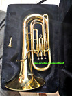 Tuba Eb Flat Of Pure Brass In Pure Brass Polish hard Case mouthpc free Shipping 